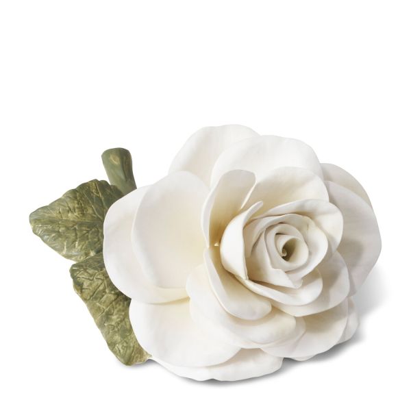 Porcelain Rose