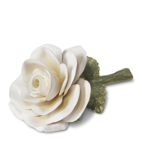 Porcelain Rose