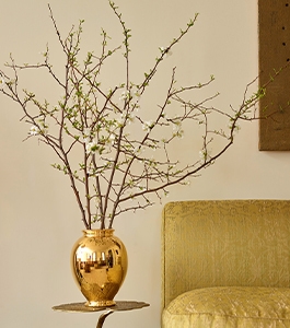 Home Décor